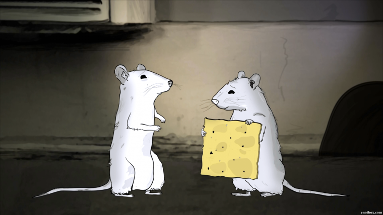 Парные обои с крысами