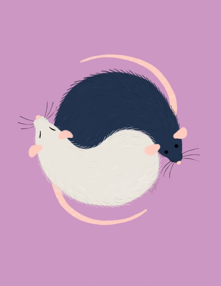 Гравити Фолз Мейбл и Пухля