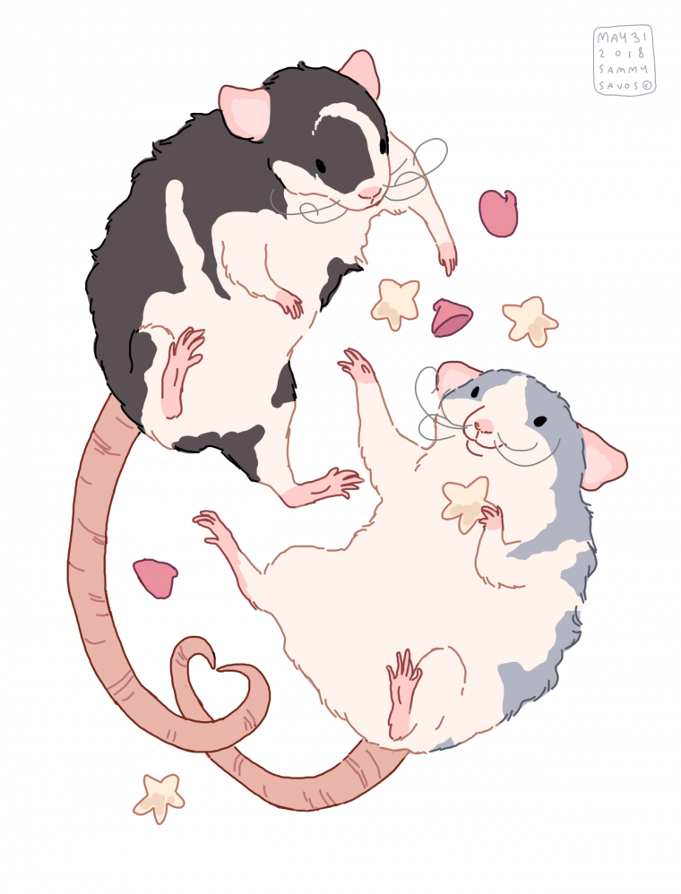 Крысы обнимаются