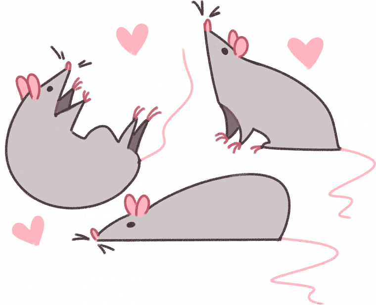 Мышь иллюстрация