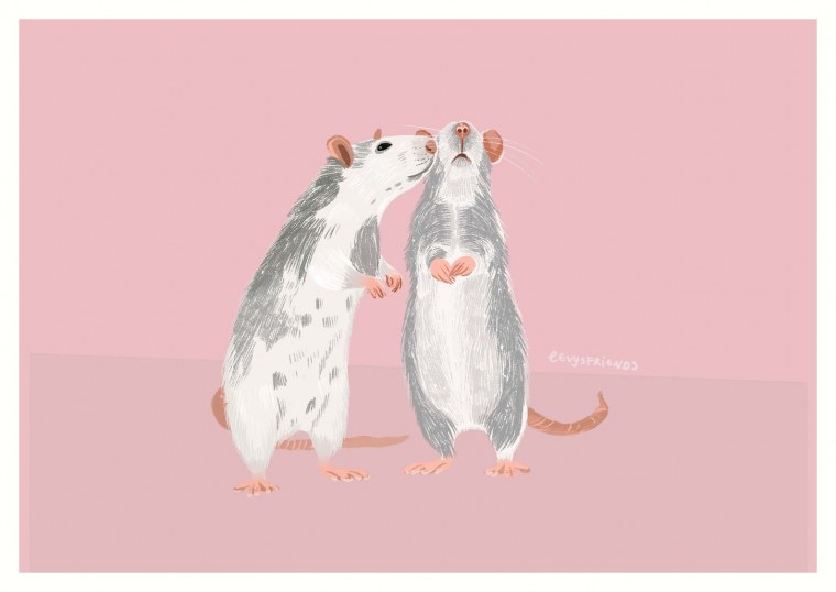 Мышь в короне