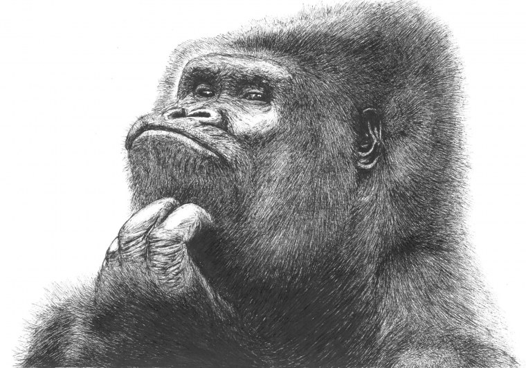 Горилла мультяшный