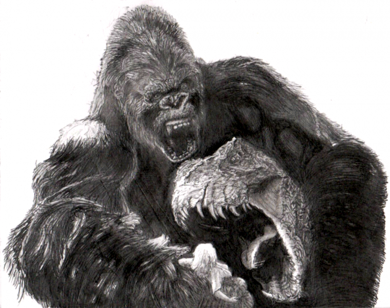Горилла рисунок карандашом