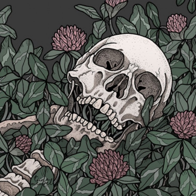 Шапка канала с черепом