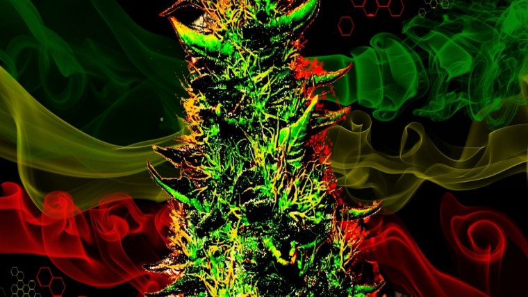 Ганджа рагга