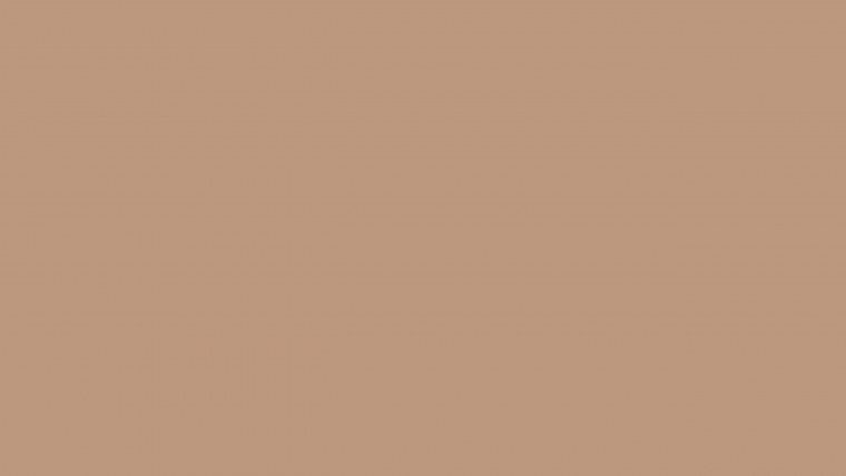 Пастельный коричневый цвет