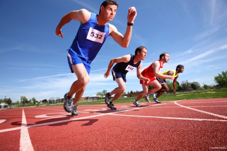 Физическая культура и спорт