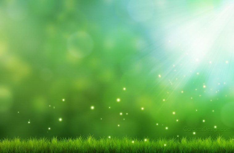 Салатовый фон