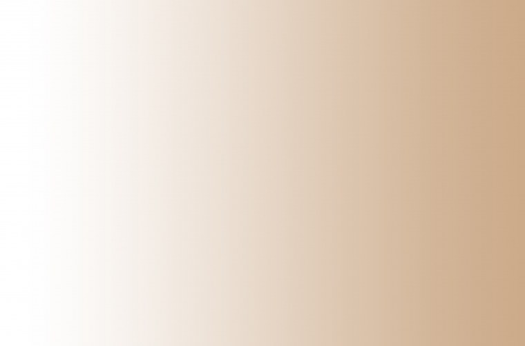 Пленка Адилет Макиотти sg234 металлик