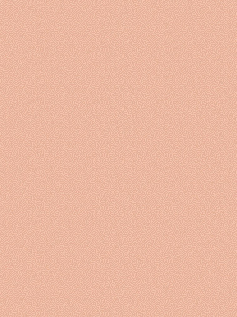 Обои 5139-50 Erismann Josepha