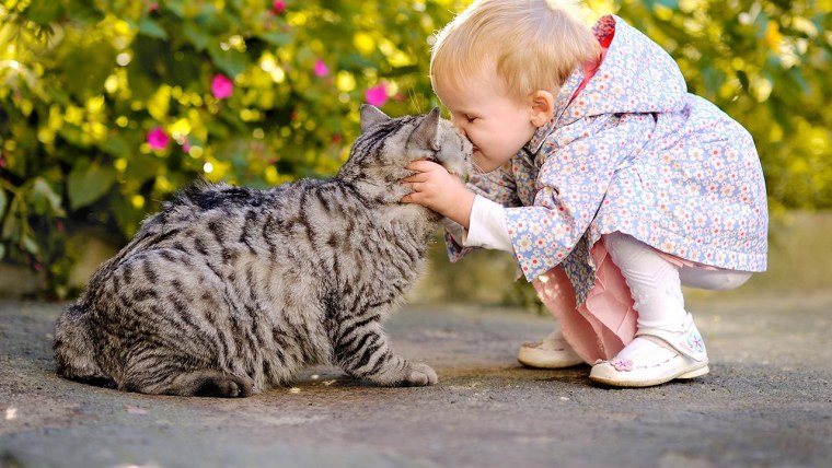 Кошка для детей