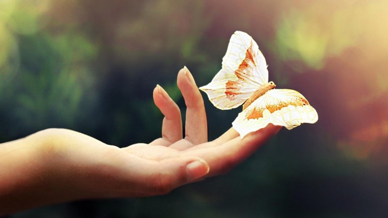 Лето на ладони