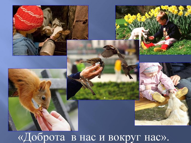 Коллаж на тему доброта
