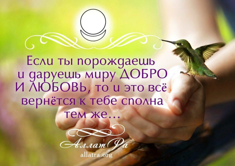 Дарю сердце