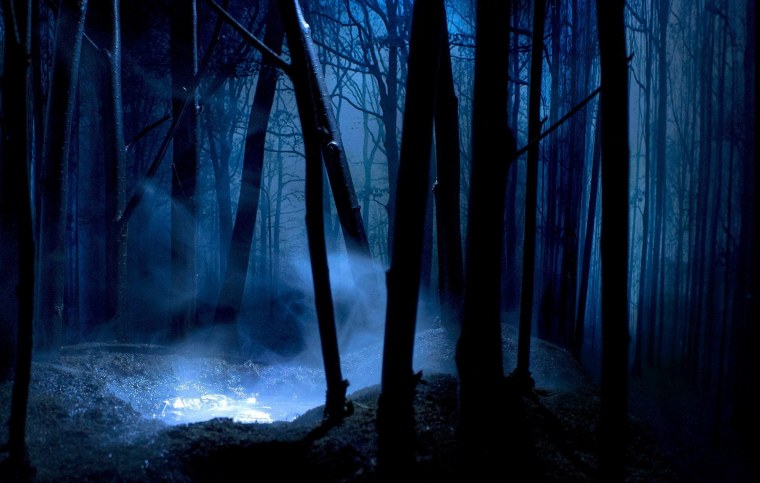 Темный лес