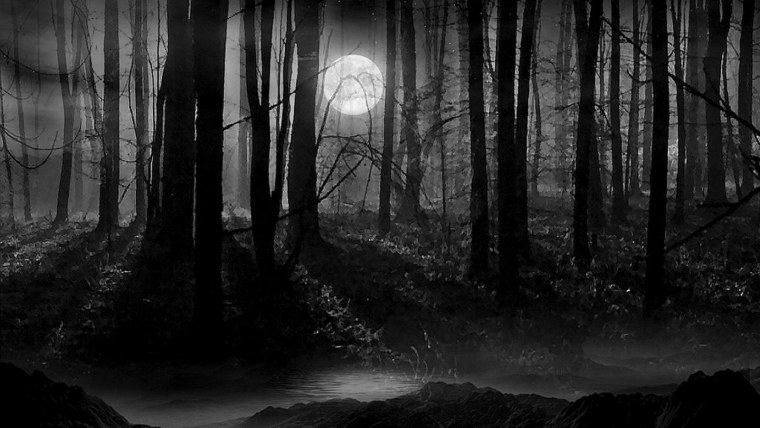 Тёмный туманный лес аниме