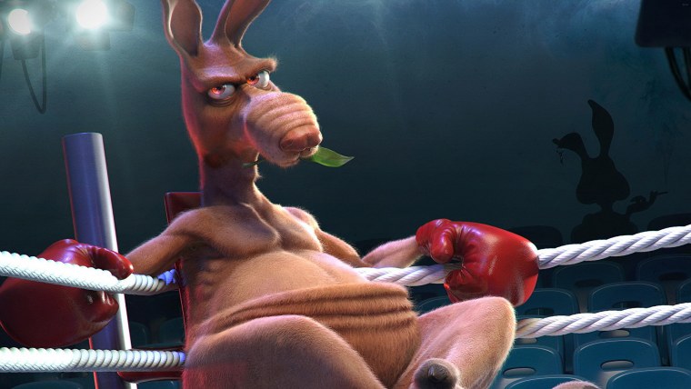 Кенгуру боксер Владимир