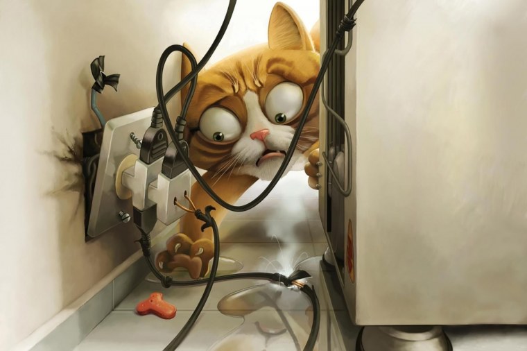 Забавные картинки на рабочий стол