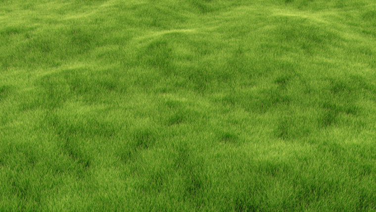 Трава вид сверху