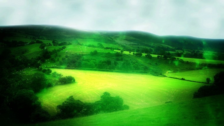 Деревья на газоне