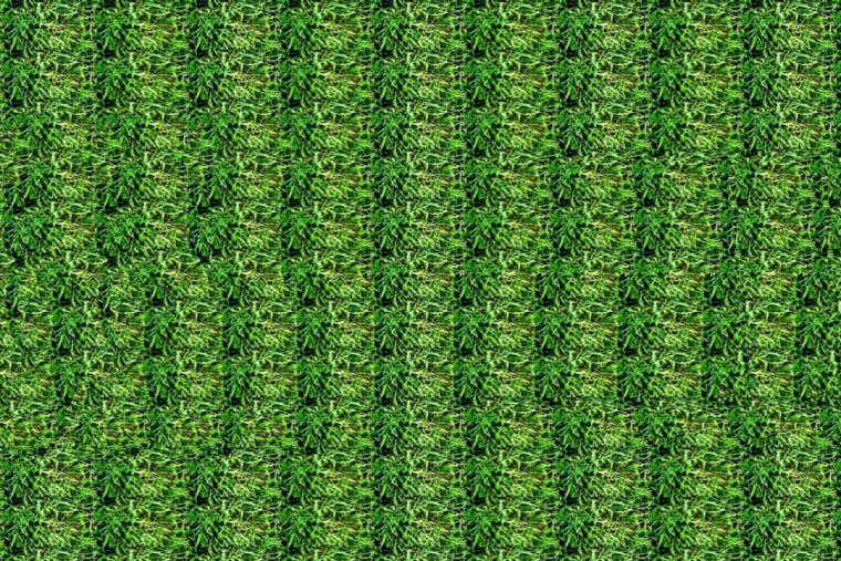 Стереограммы Юлеша