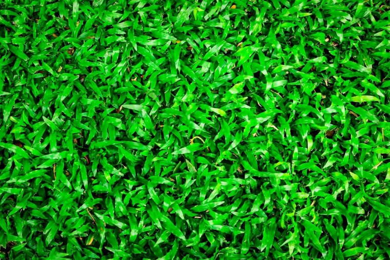 Зеленая Мандала