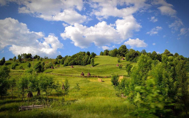 Холмы в Ленинградской области