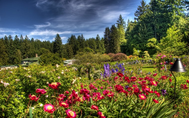 Butchart Gardens, Канада розарий