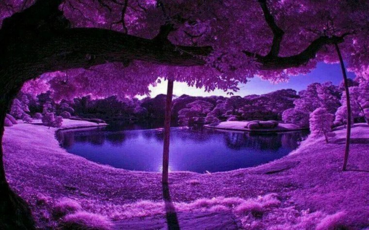 Фиолетовая природа