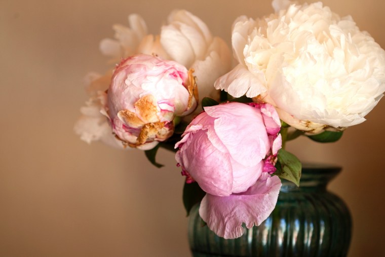 Весенние цветы букет пионы