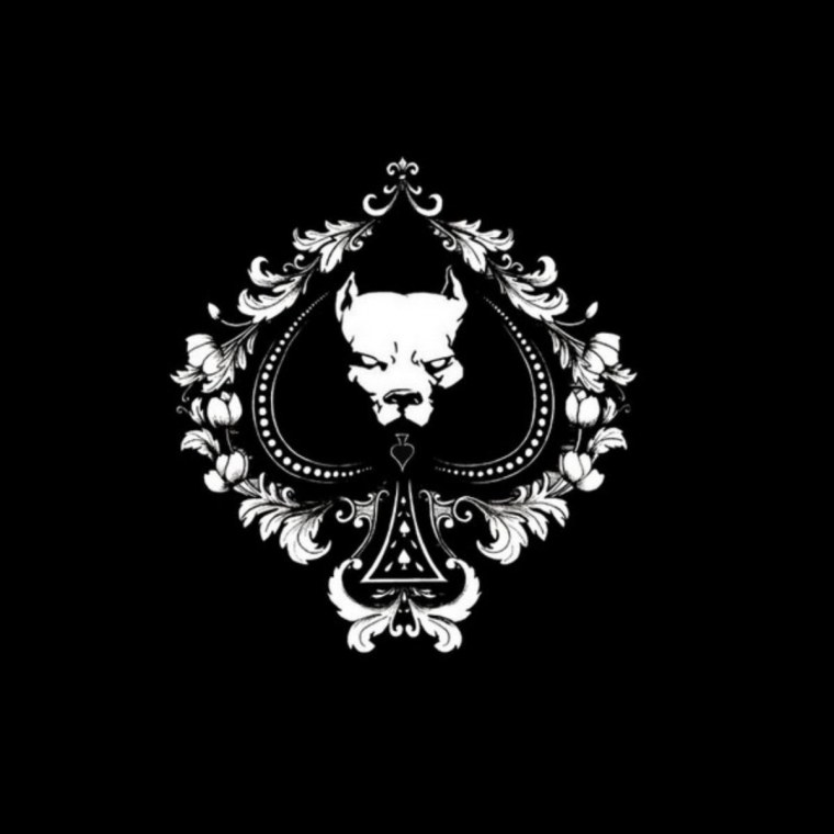 Герб на черном фоне