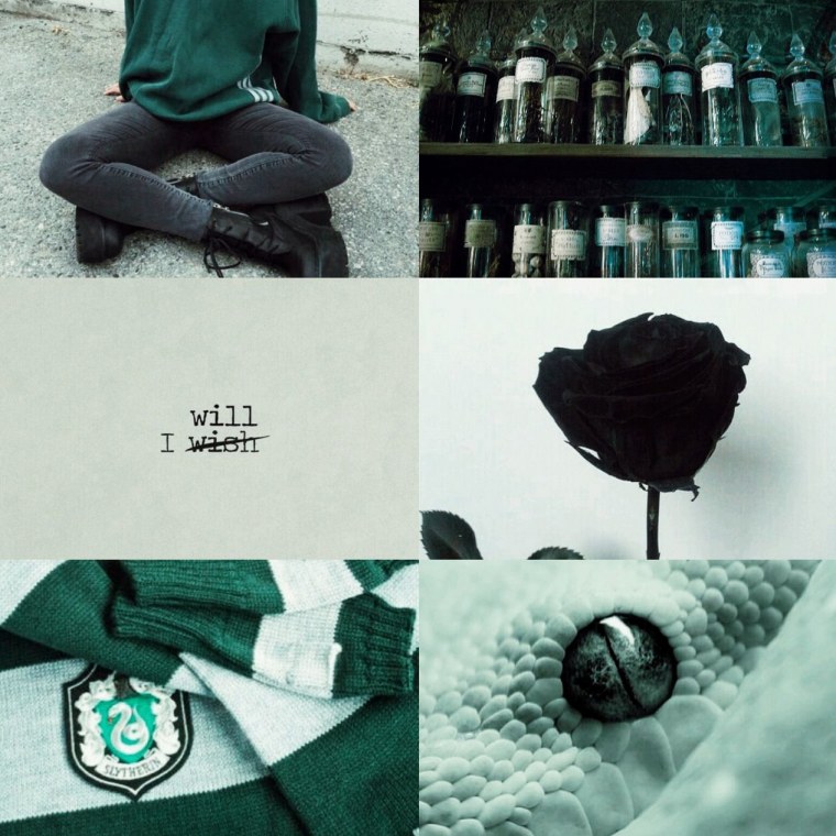 Слизерин Эстетика хорошее качество