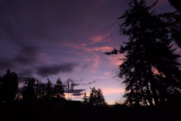 Летняя ночь Эстетика