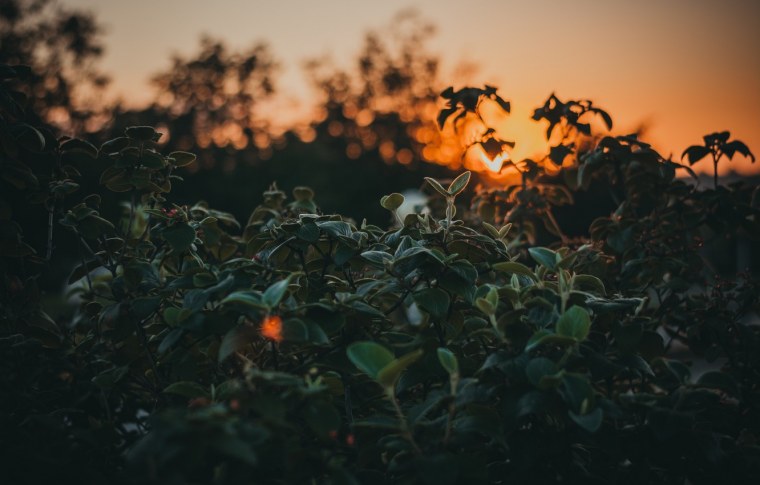 Закат Эстетика город