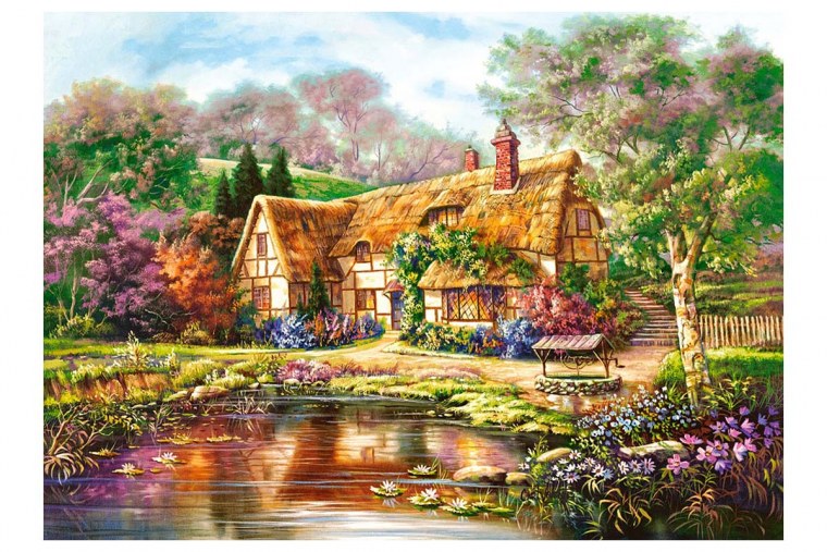 Пазлы Касторленд 3000