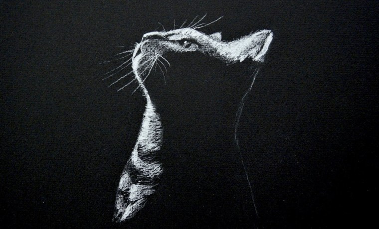 Обои в стиле тату