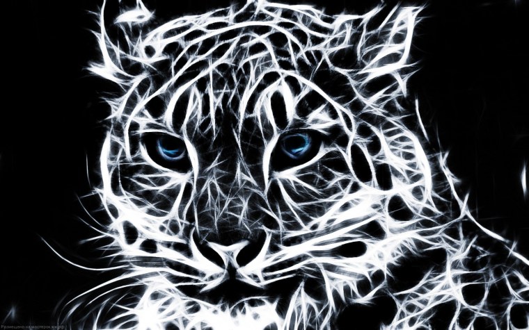 Черно белые рисунки