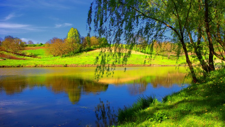 Летняя природа