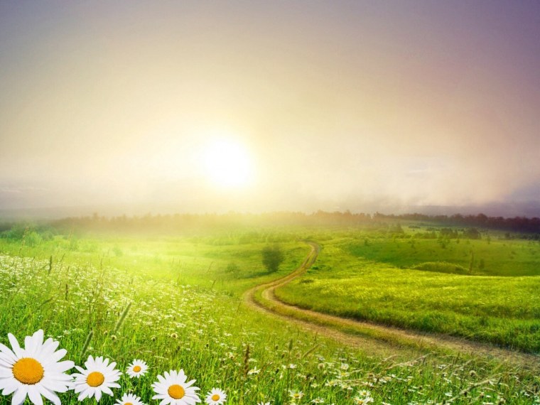 Солнечный пейзаж