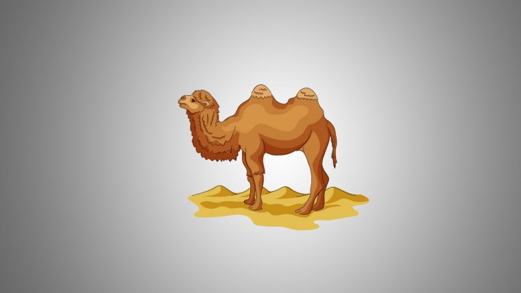 Верблюд в пустыне