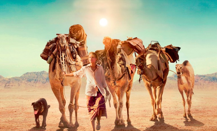 Верблюд Караван пустыни