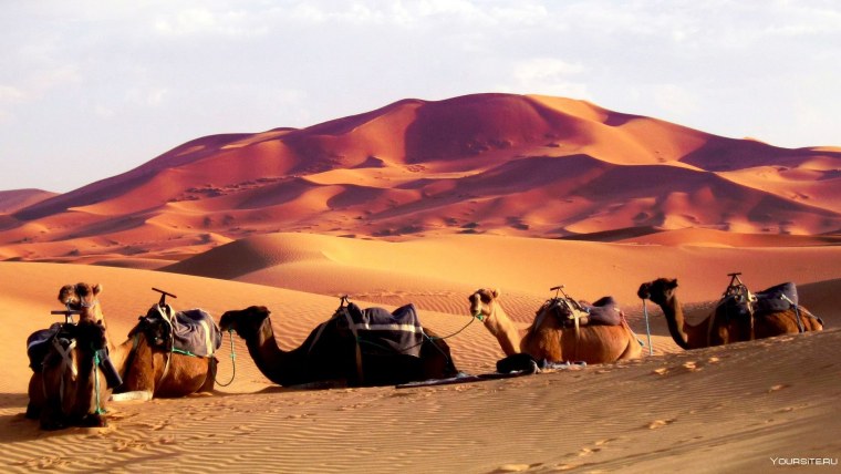 Пустыня Кумтаг