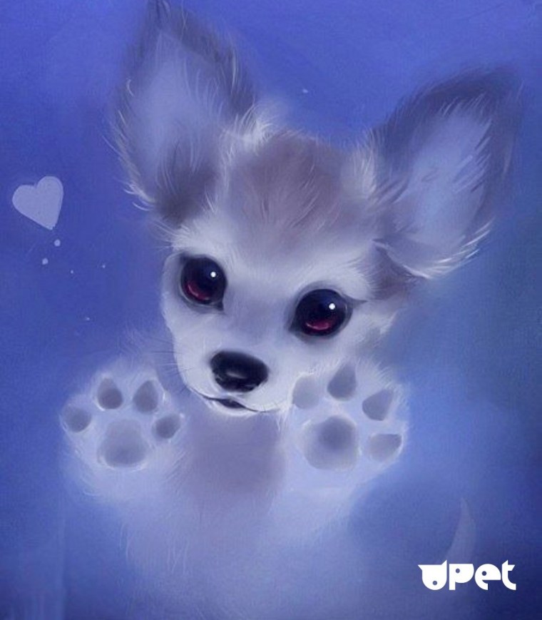 Красивые собаки