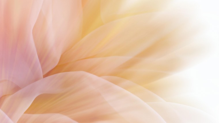 Персиковый фон