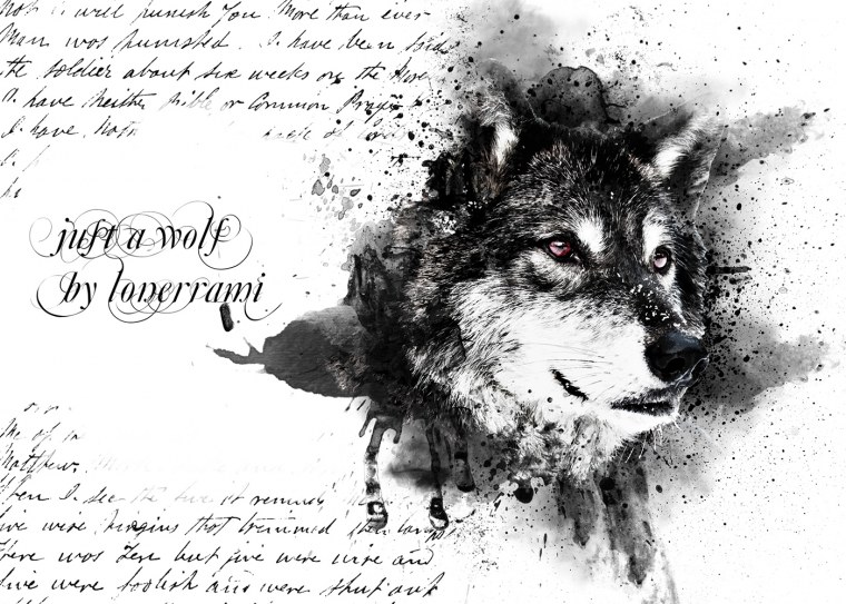 Волк эскиз реализм