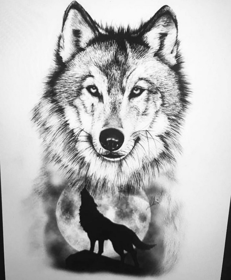 Силуэт волка в лесу