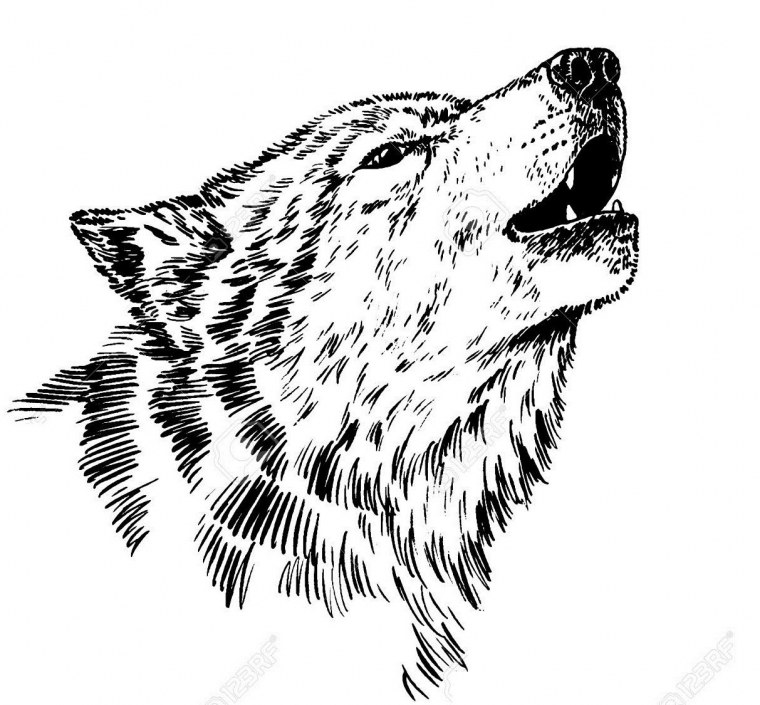 Силуэты Волков в прыжке