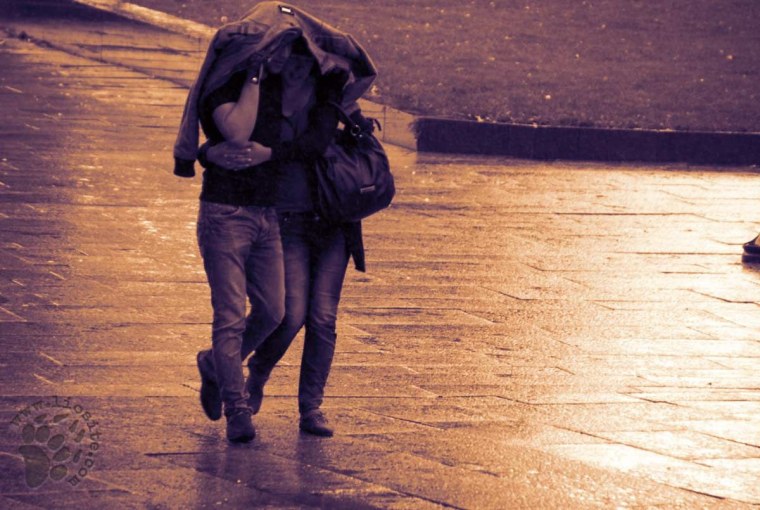 Дождь любовь чб