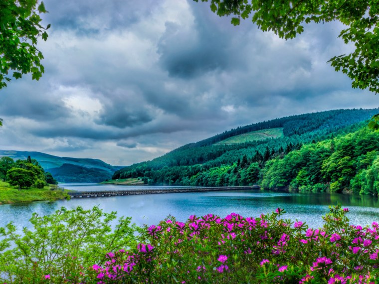 Летний пейзаж