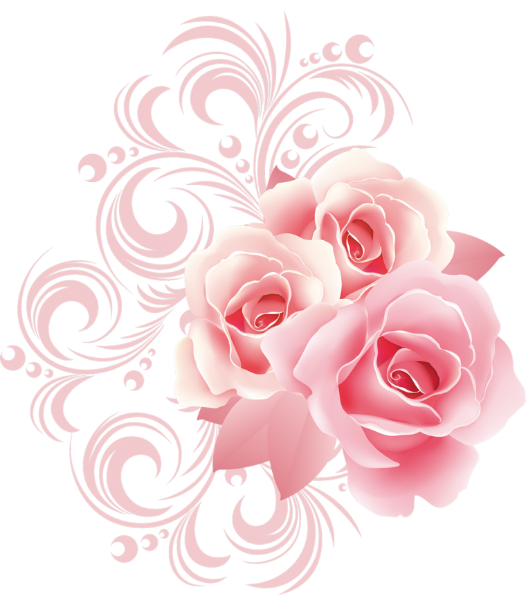 Розовые цветы на белом фоне